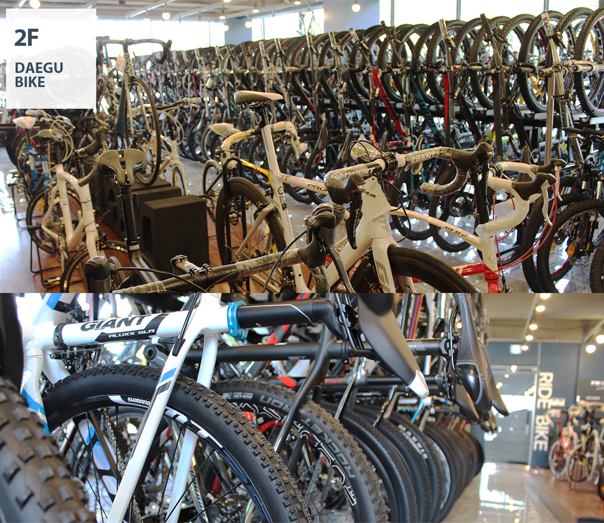 2�� DAEGU BIKE